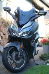 Honda Forza NSS 350 Liebhaberstück 