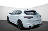 Alfa Romeo Stelvio MY24 TRIBUTO ITALIANO 2.0 Turbo 16V 206 - Alfa Romeo: Italia