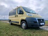 Fiat Ducato Wohnmobil - Fiat Ducato aus 2011: Van