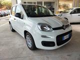 Fiat Panda 1.0 Hybrid Easy PREZZO AFFARE - Fiat Panda EASY mit Hybrid-Antrieb (Benzin/Elektro)