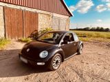 Volkswagen VW NEW BEETLE 1.6 Miami - : Limousine, Miami