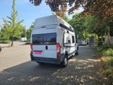 Weinsberg CARABUS 600 MQH - Angebote entsprechen deinen Suchkriterien