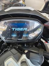 Triumph Tiger 1200 XRT - TRIUMPH TIGER XRT