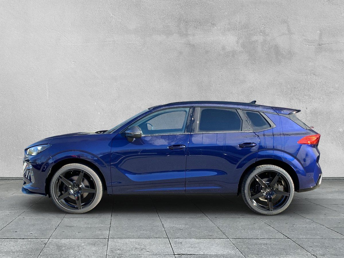 Cupra Terramar - Bild 2