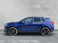 Cupra Terramar - Vorschau Bild 2