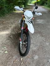 Beta 430 RR - Offers