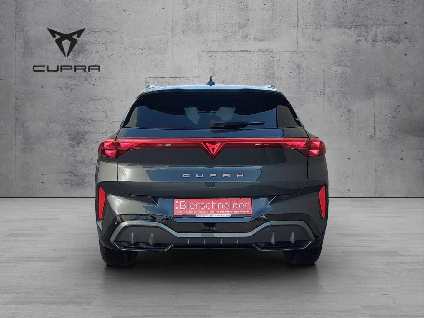 Cupra Terramar - Bild 9