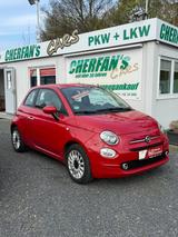Fiat 500 Cult+HYBRID+NAVI+KLIMA+PDC++ - Fiat 500 Cult mit Hybrid-Antrieb (Benzin/Elektro)