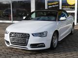 Audi A5 Cabriolet 3.0 TDI quattro - Audi A5 aus 2010: Cabrio