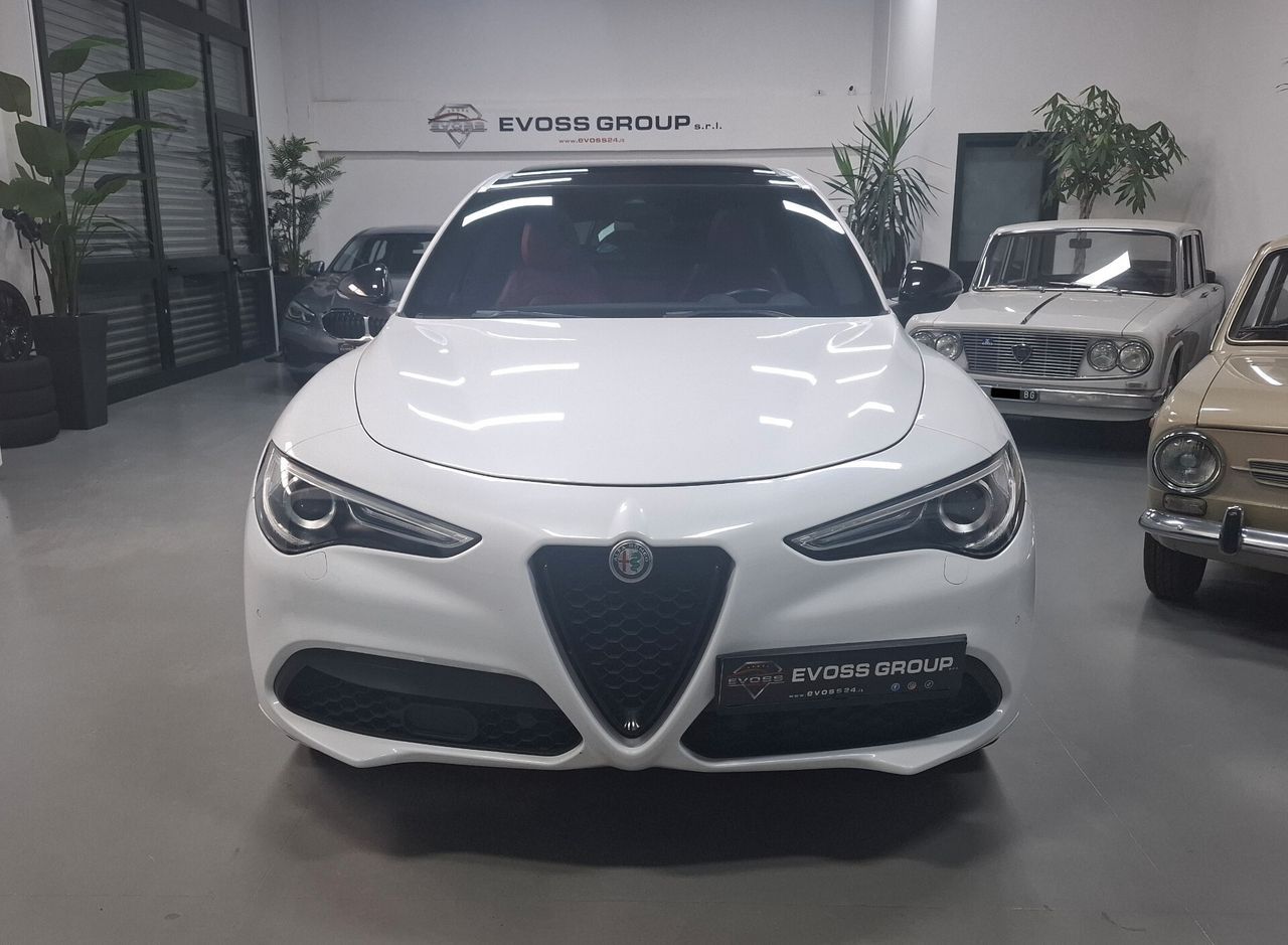 Alfa Romeo Stelvio 2.0 T Q4 Veloce 16V imagem 2