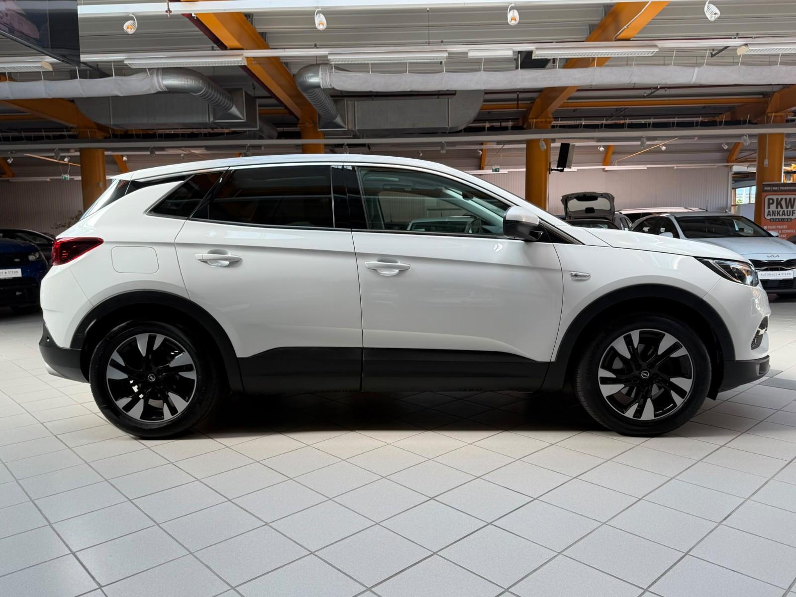 Opel Grandland (X) Innovation Panorama / 360° Kamera