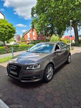 Audi A3 1.6 TDI (DPF) 77kW Ambition Sportback Amb... - Audi A3: Sportback Dpf