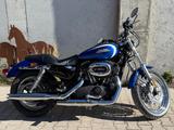 Harley-Davidson Sportster XL 1200 R Roadster - Modell 2008 - HARLEY-DAVIDSON SPORTSTER 1200 ROADSTER