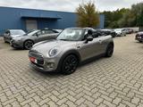 MINI COOPER Cabrio NAVI Temp SHZ Kamera PDC Leder LED - Mini Cooper Gebrauchtwagen