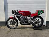 Yamaha TZ 250 DRS - RENNSPORT VON 126 BIS 250 CCM