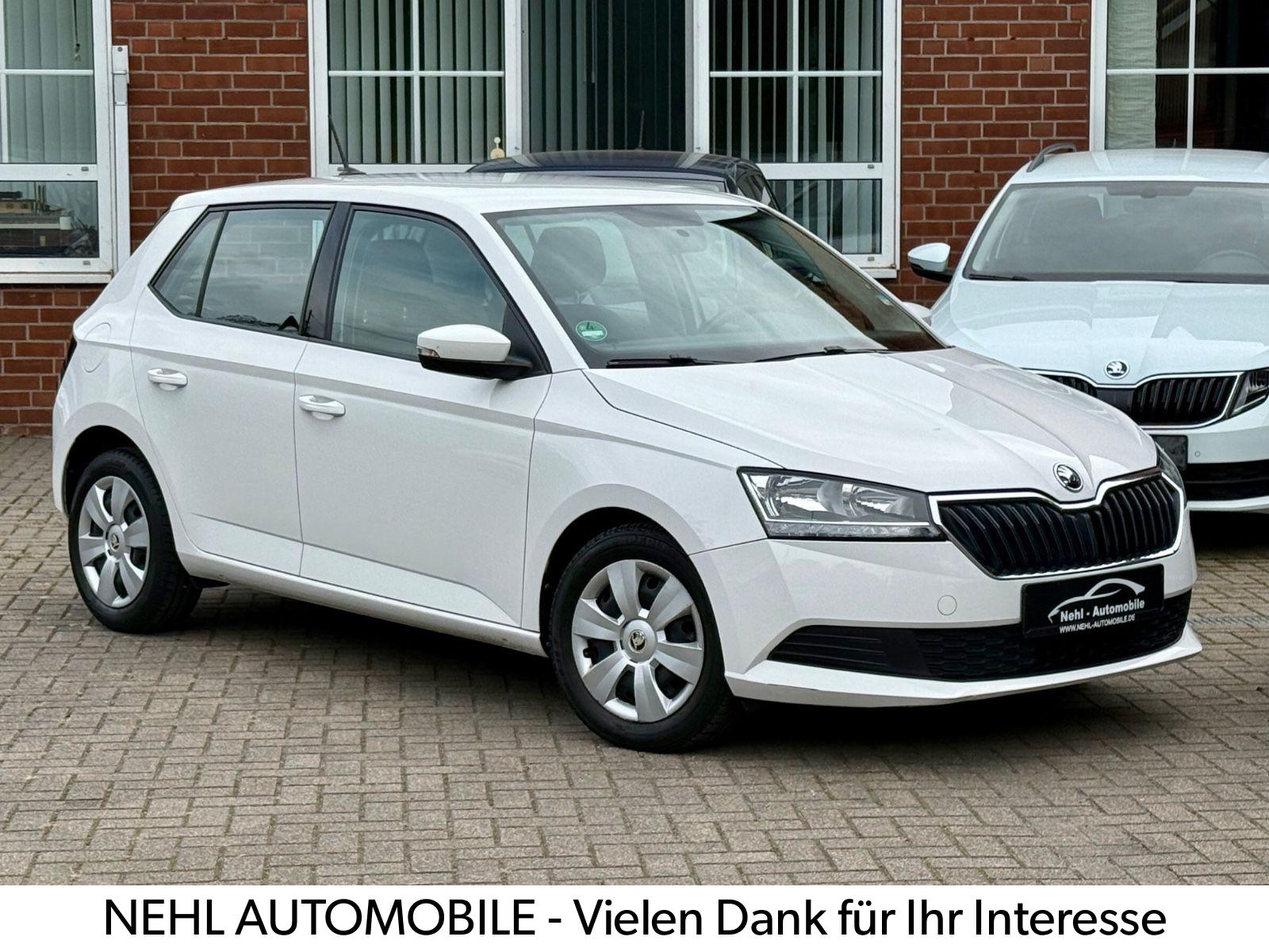 Skoda Fabia 1.0*KLIMA*PDC*DAB*TÜV*INSPEKTION