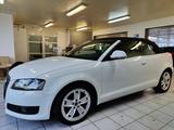 Audi A3 Cabriolet Ambition Automatik*Xenon*PDC* - Audi A3 aus 2008: Cabrio