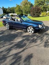 Mercedes-Benz Mercedes CLK 230 Evolution Final Edition M... - Mercedes-Benz CLK 230 aus 2003