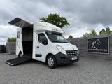 Renault Master | HORSETRUCK | PARAGAN | PRO SAFETY 3 | 2