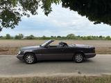 Mercedes-Benz Liebhaberfahrzeug Mercedes Benz E 220 Cabriolet - Mercedes-Benz CE 220 Gebrauchtwagen