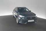 Cupra Formentor 2.0 TDI 4Drive DSG ACC Navi - Cupra Formentor Diesel Gebrauchtwagen