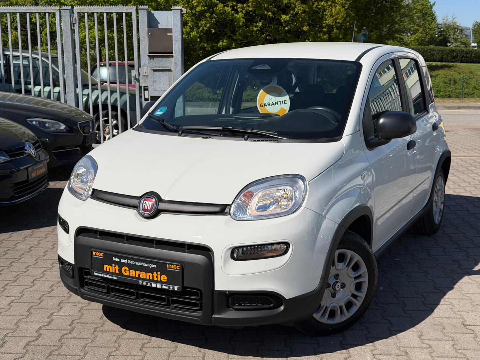 Fiat Panda Pandina Cross *Digital Display*Pdc*Assist*