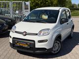 Fiat Panda Pandina Cross *Digital Display*Pdc*Assist* - Fiat Panda in Wiesbaden