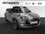 MINI Cooper Cabrio Harman/Kardon|Parkass.|LED|17"LMR - MINI Cooper Cabrio Gebrauchtwagen