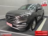 Hyundai Tucson blue Intro Edition 2WD " 1 HAND-NAVI-ALU" - Hyundai: In