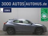 Lexus UX 250h Executive Line Leder Navi HuD Pano RFK - Lexus Gebrauchtwagen von 2022