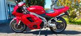 Triumph Daytona 955i - TRIUMPH 955 DAYTONA
