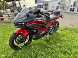 Kawasaki Ninja 500 SE Performance - KAWASAKI NINJA 500