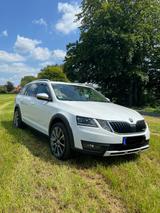 Skoda Octavia 2.0 TDI SCR 135kW DSG 4x4 Scout Comb... - Skoda Octavia in Wuppertal