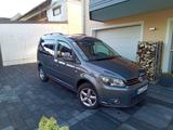 Volkswagen Caddy 1,2TSI 77kW BMT Comfortline 5-Sitzer C... - VW Caddy von privat