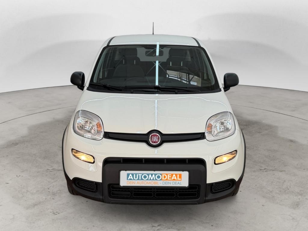 Fiat Panda BLUETOOTH DAB KLIMA MULTIFLENKRAD MP3 STAR
