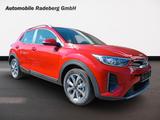 Kia Stonic 1.2 Vision Kamera Navi - Kia New cars in Dresden