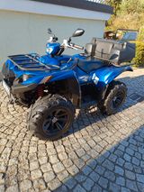 Yamaha Grizzly Special Edition - Offers matching your search criteria