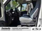 Dethleffs Just Camp T 7052 EB in Vermietung - Wohnmobil oder -wagen Vermietung