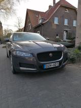 Jaguar XF 2.0 D E Performance 8 Gang ZF Tausch - Jaguar XF in Duisburg