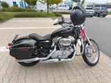 Harley-Davidson Sportster XL 883 C - HARLEY-DAVIDSON 883 C