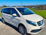 Mercedes-Benz V 220 d Aut. EDITION lang 7 Sitze nur 37.000 km 