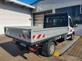 Ford Transit Pritsche 350 L2 Einzelkabine Kipper ! - Ford Transit: Kipper
