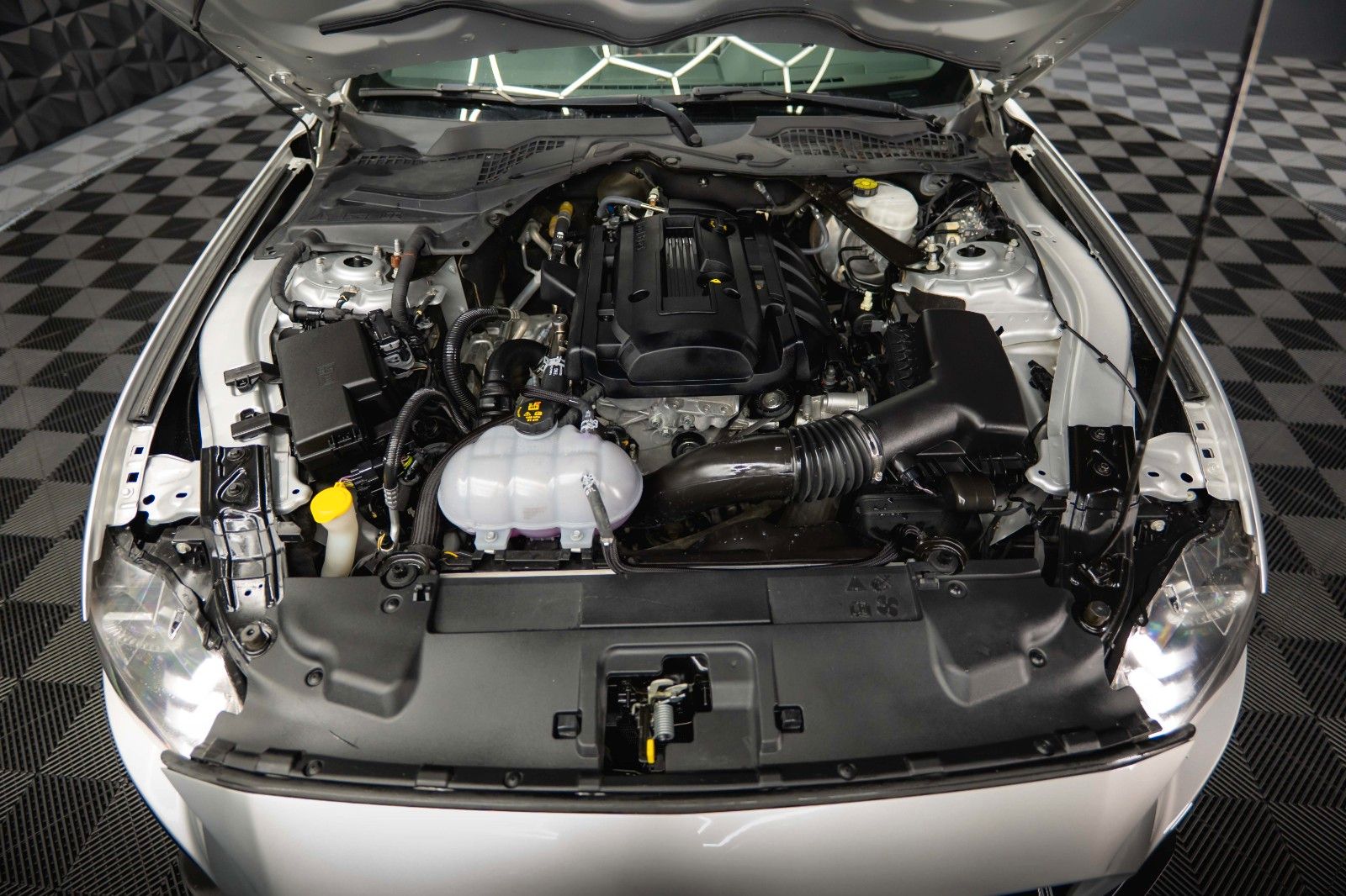 Fahrzeugabbildung Ford Mustang Shelby 500 GT Cabrio Performance PREMIUM