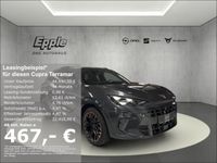 Cupra Terramar - Vorschau Bild 1