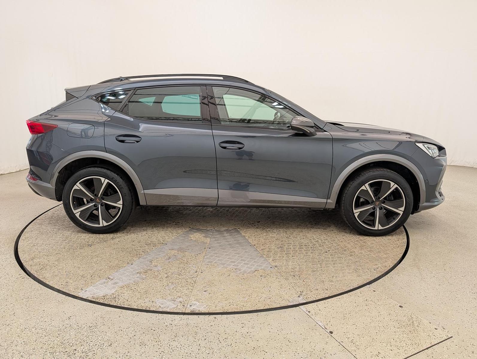 Cupra Formentor 2.0 TDI DSG 4Drive Winter|Navi|ACC|LED