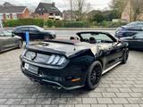 Ford Mustang GT Convertible V8  Premium-Paket II  5.0 - Ford mit Benzin-Antrieb: Cabrio