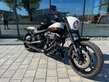 Harley-Davidson Breakout  CVO 110 / FXSE /  Custom / TOP ZUSTAND - Offers