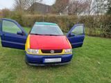 Volkswagen Polo 1.4 HARLEKIN (bis 01.08.25!) - Volkswagen Polo: Harlekin