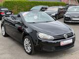 Volkswagen Golf VI Cabriolet Exclusive/PDC/Bi-Color Leder. - Gebrauchtwagen bis 8.000 Euro