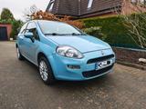 Fiat Punto 199 Street Hellblau Babyblau TÜ... - Fiat Punto: 199